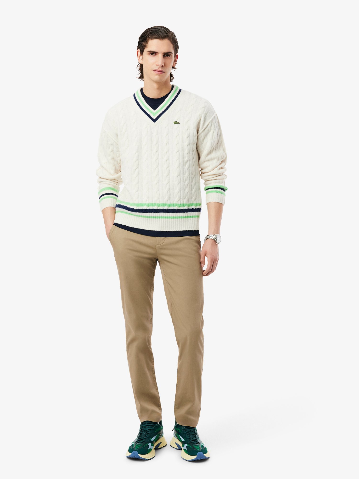 Lion hh3463cb8_cb8_01.jpg