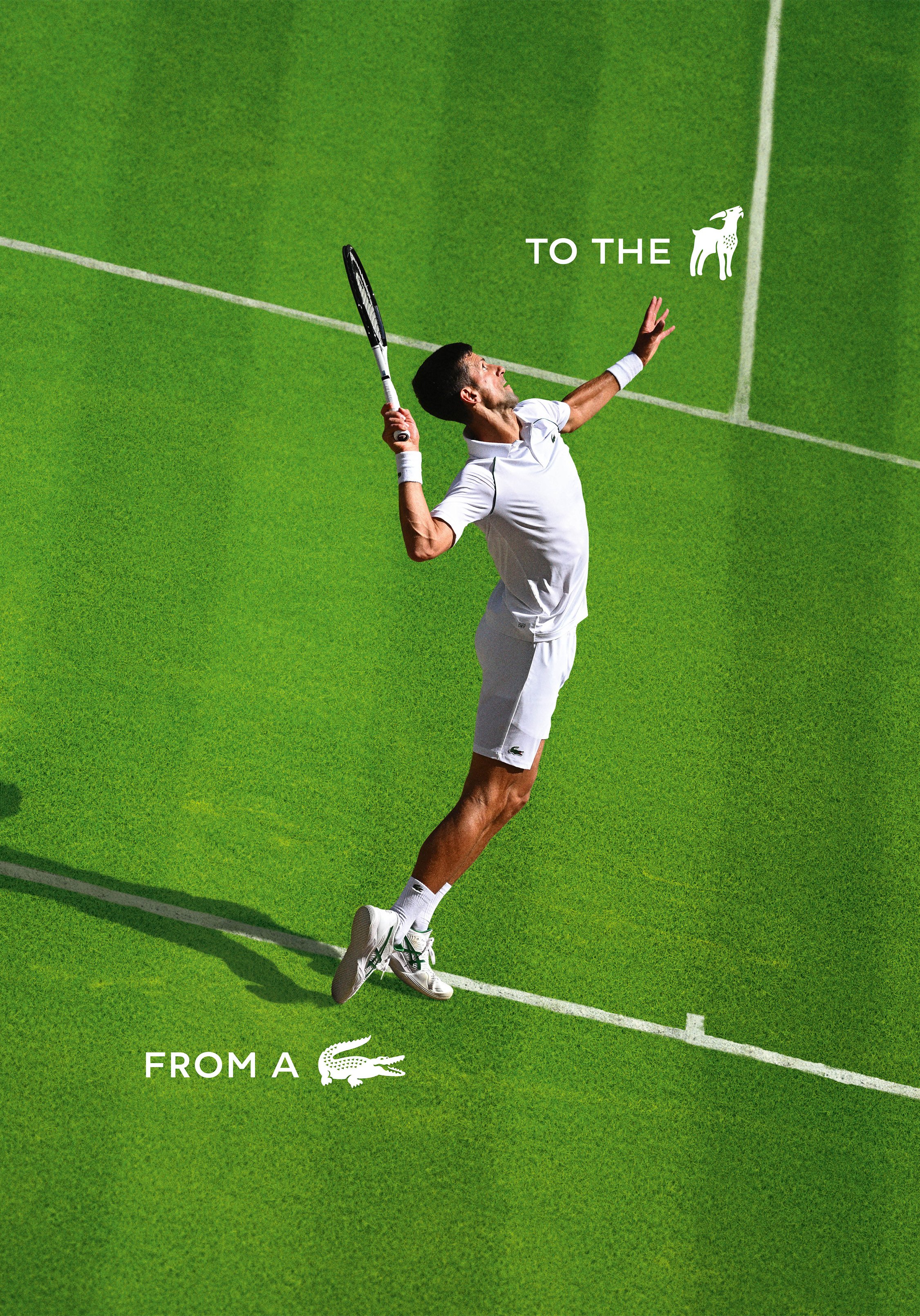 Novak on Grass Court Desktop