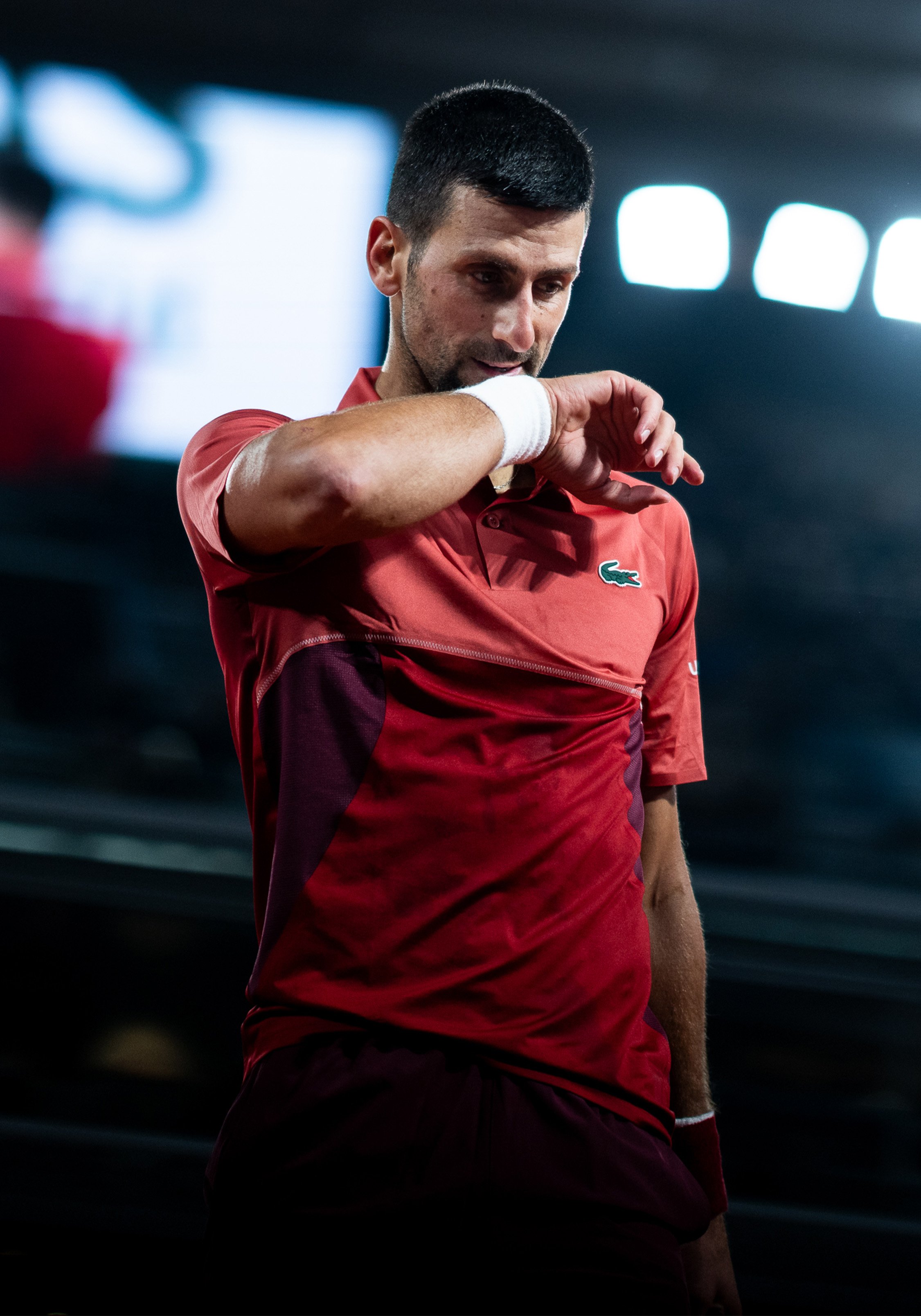 Novak in red Lacoste Shirt Desktop