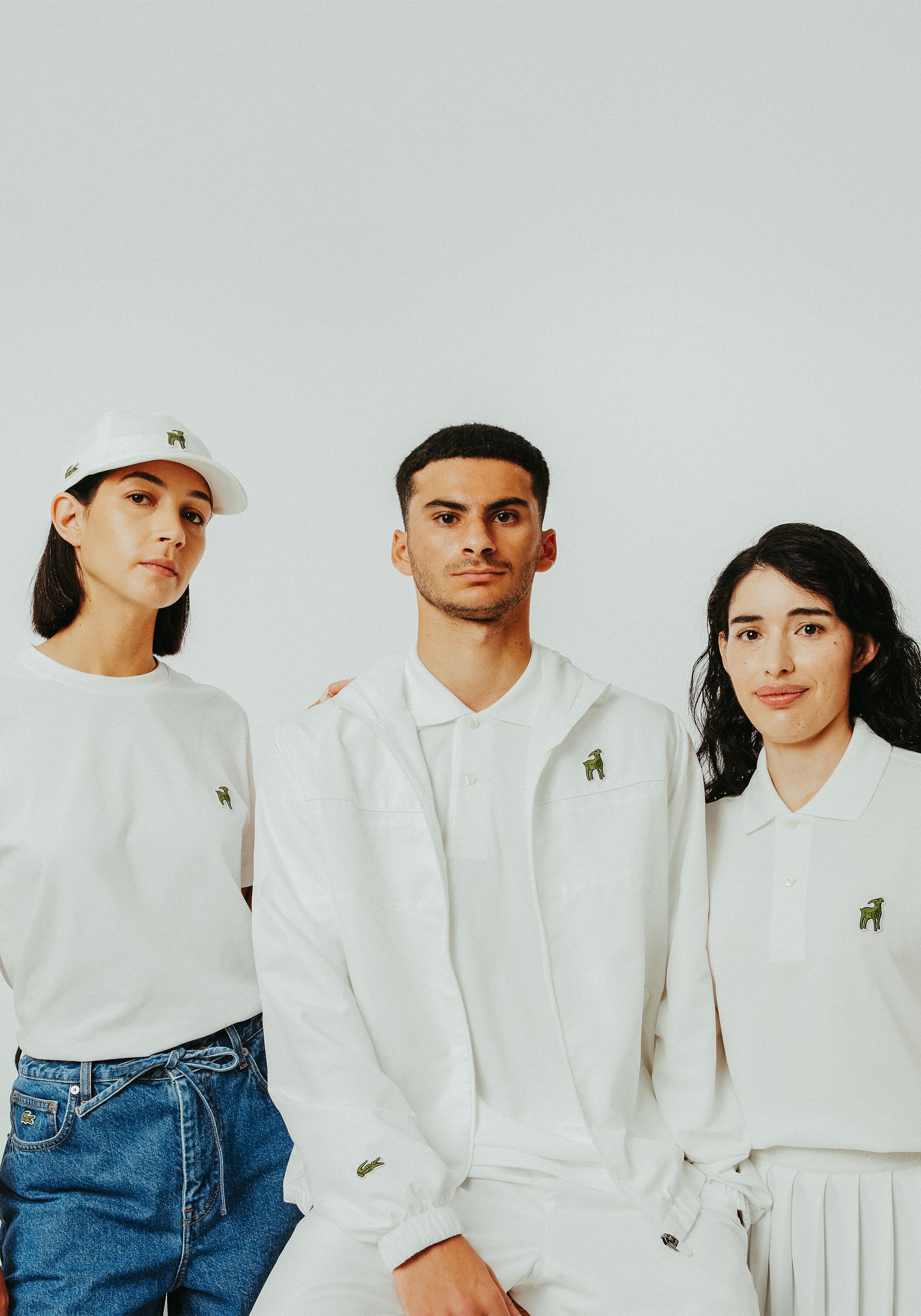 Novak Collection Desktop