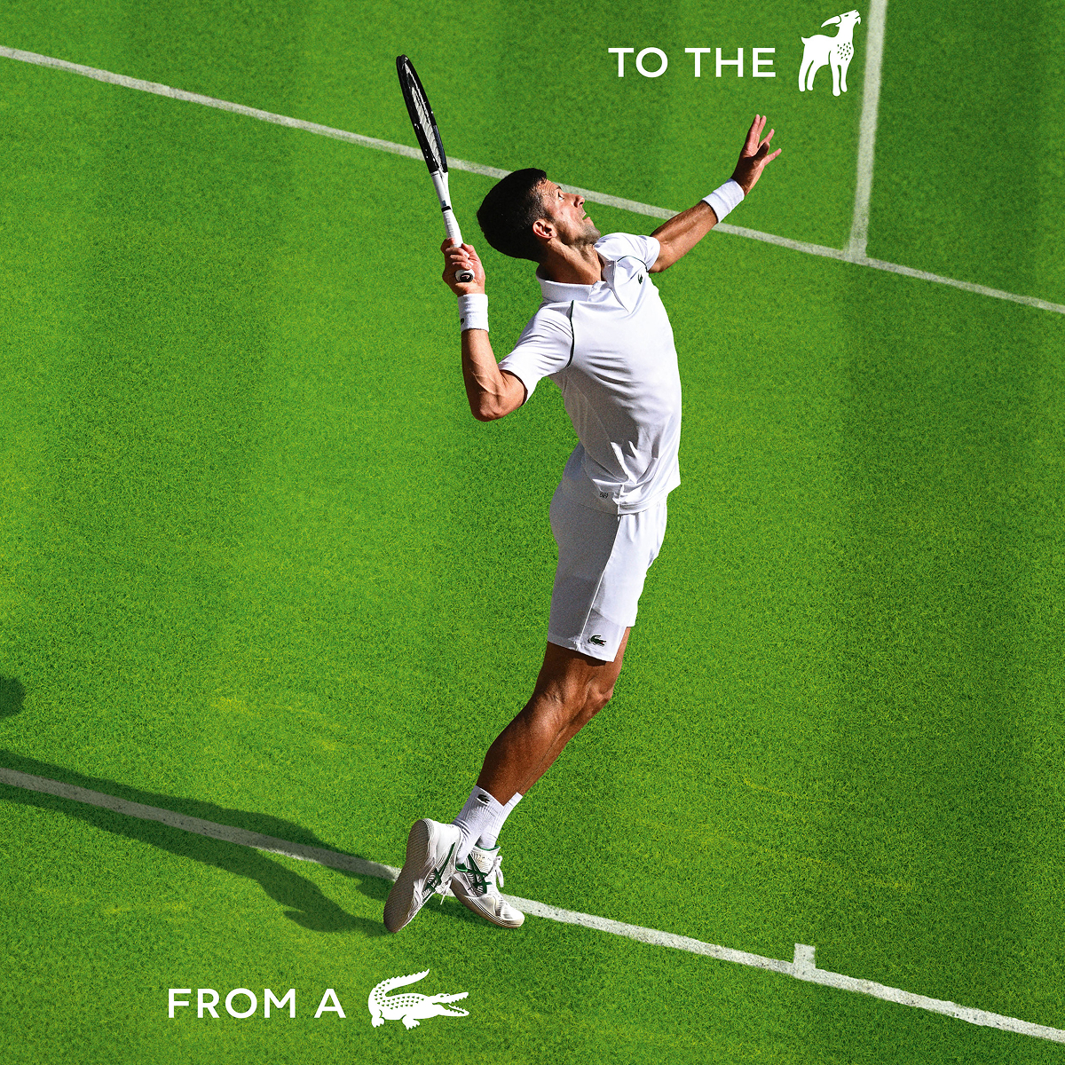 NOVAK DJOKOVIC, THE GREATEST OF ALL TIME