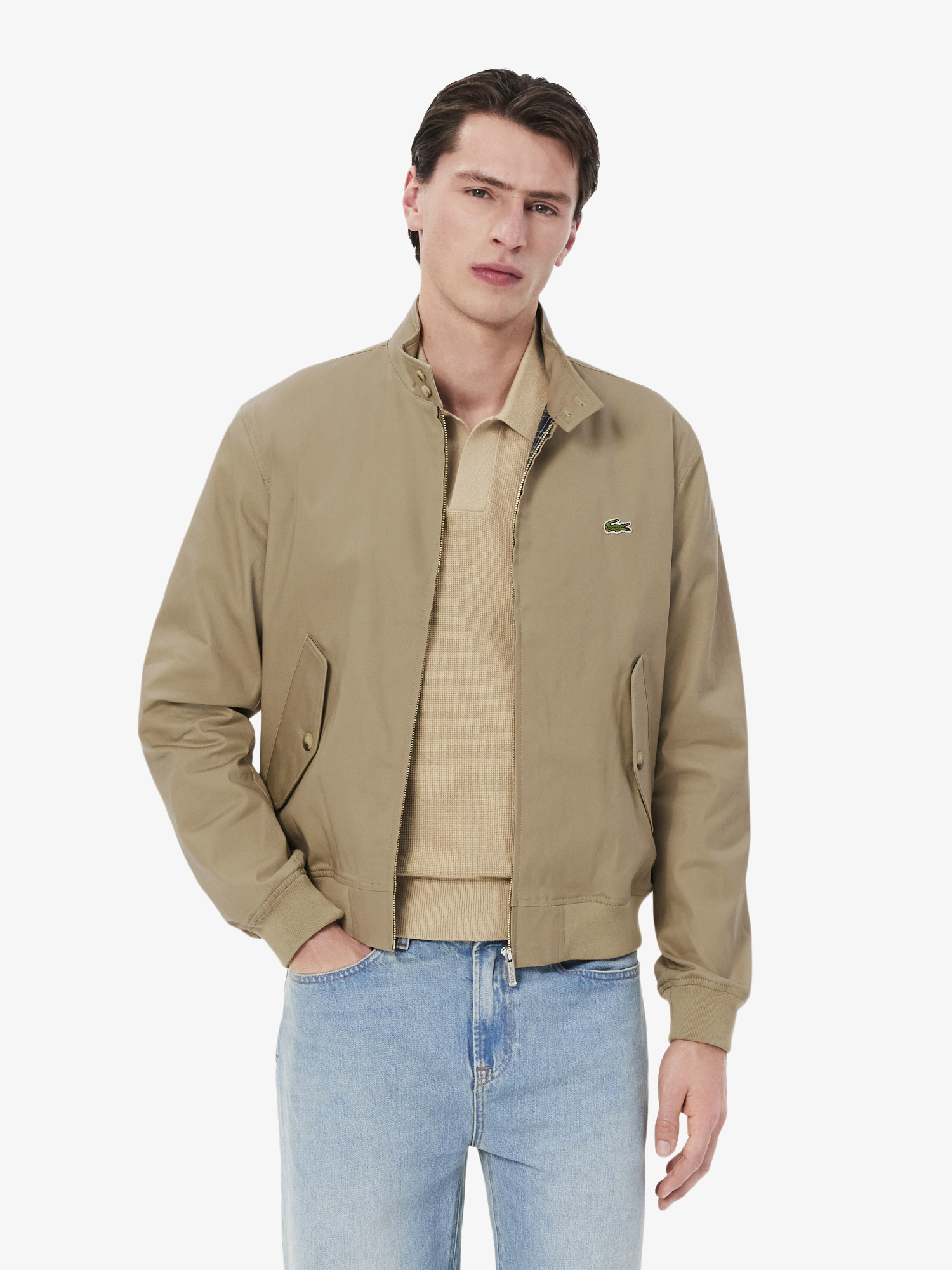 Water-Repellent Twill Harrington Jacket Lion | Lacoste Australia